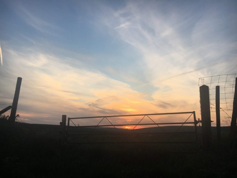 Foel Cwmcerwyn sunset